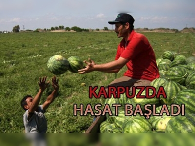 Karpuz sezonu başladı