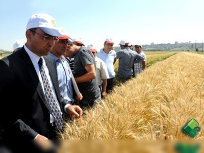 Diyarbakırda Tarla Günü 