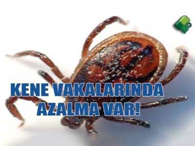 Vatandaşlar, uzmanların uyarılarını dikkate alıyor