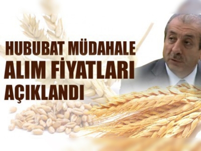 Hububat Müdahale Alım Fiyatları Açıklandı!