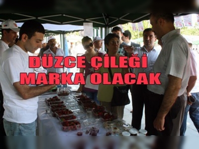 Düzce Çileğine ilgi artıyor!