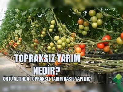 Topraksız tarım sistemi nedir?