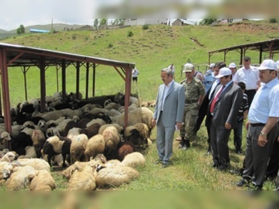 Gümüşhanede mera açılışı