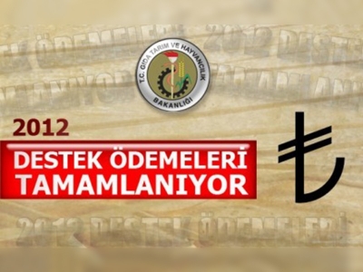 Destekleme Ödemeleri Tamamlanıyor!