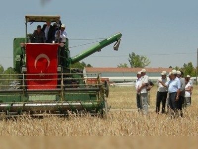 Haymanada Hasat Bayramı coşkusu