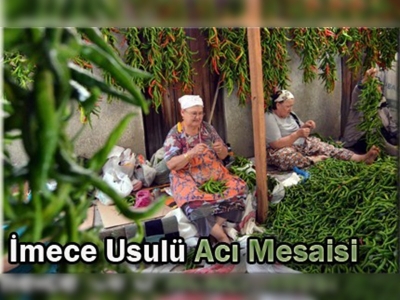 Ciğercilerin acı mesaisi başladı