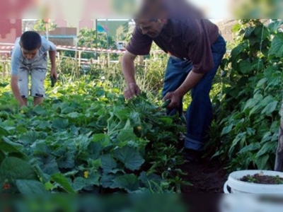 ''Hobi bahçesinde'' hasat zamanı