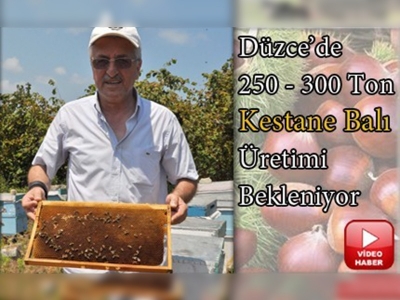 Kestane balı üretimi bu yıl artacak