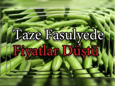 Sıcak hava taze fasulye üretimini de vurdu