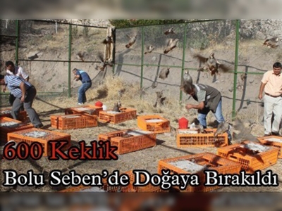 Kınalı keklikler doğayla buluştu