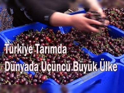 Türk tarımı dünya yıldızı olma yolunda!