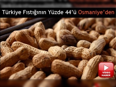 Türkiye fıstığının yüzde 44ü Osmaniyeden