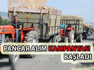 Kastamonuda pancar alım kampanyası başladı