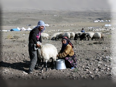 Göçerler 6 ayda 5 yayla değiştiriyor