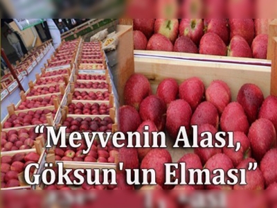 1. Göksun Elma Festivali