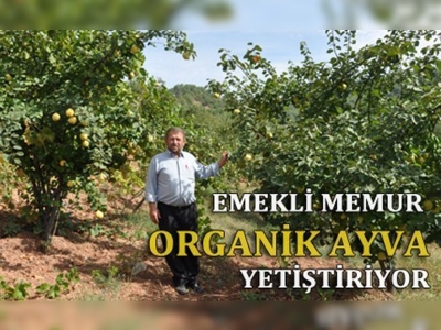 Emekli memur köyünde organik meyve üretiyor!