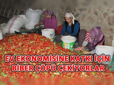 Kadınların 'acı biber ' mesaisi