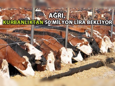 Ağrı, kurbanlıktan 50 milyon lira gelir bekliyor