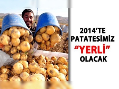 2014te patatesimiz yerli olacak