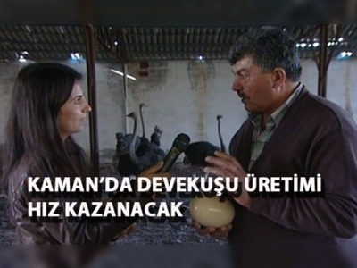 Kamanda devekuşu üretimi hız kazanacak