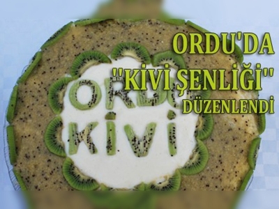 Orduda kivi üretimi yaygınlaşıyor