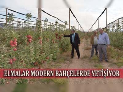 Modern bahçelerle fidan sayısı 6 milyona ulaştı