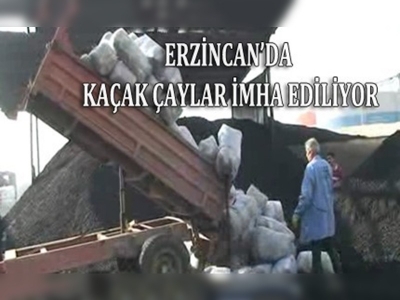 Erzincanda kaçak çaylar imha ediliyor