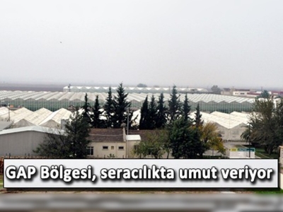 GAP Bölgesi, seracılıkta umut veriyor