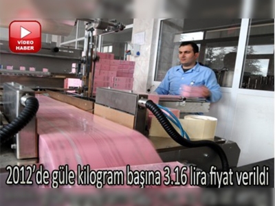 Gül üreticisi, tarihinin en iyi yılını geçirdi