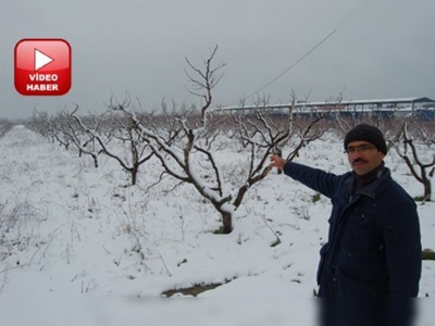 Kar yağışı Çanakkalede kiraz üreticisinin yüzünü güldürdü