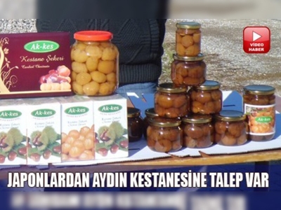 Japonlar, Aydın kestanesini sevdi