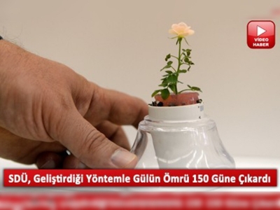 Gülün ömrü uzadı