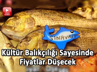 Zengin sofralarının balıkları her eve girecek