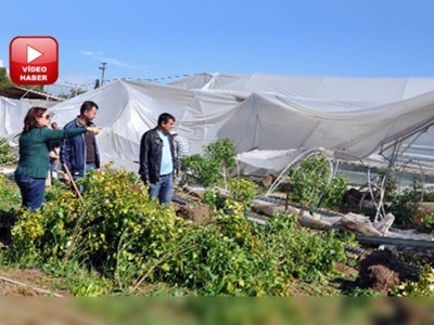 Mersindeki hortum bilimsel araştırma seralarını yıktı