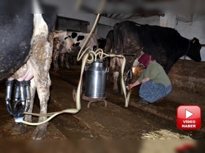 Burdurda hayvancılık hızla gelişiyor