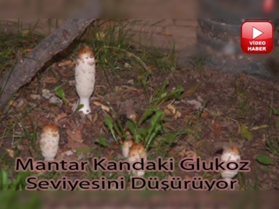 ''Mantar'' deyip geçmeyin