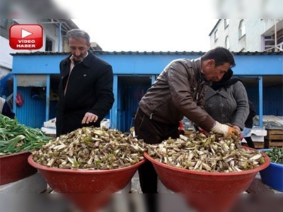 Baharın habercisi kenger tezgâhlardaki yerini aldı