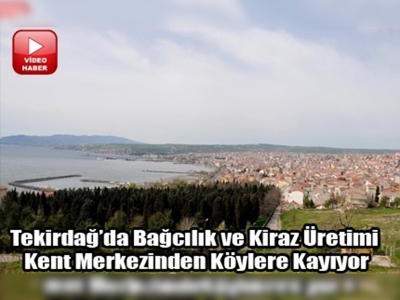 Bağ ve kiraz bahçelerinin yerini konutlar aldı