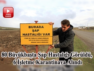 Ardahanda şap karantinası