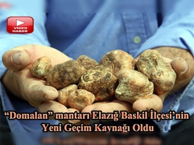 Kudret helvası mantar Elazığlıların yeni gözdesi