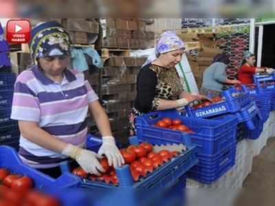 Güneşi gören sebze  meyvede  fiyatlar düştü