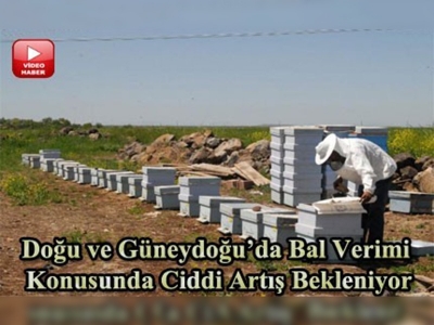 Arıcıların yeni rotası Güneydoğu