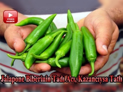 Üreticinin yeni gözdesi: Jalapone biberi