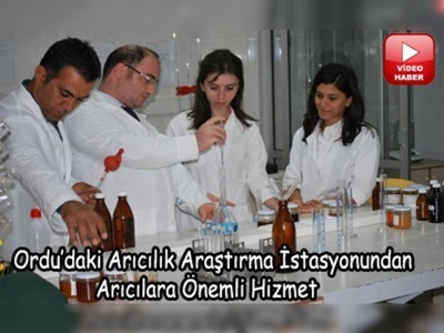 Arıcılık istasyonu arı hastanesi gibi çalışıyor