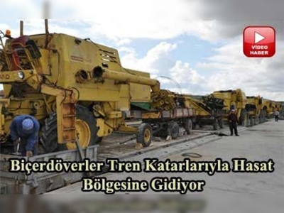 Biçerdöverler hasat için yolda