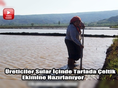 Beyaz altın için tarlalar ekime hazırlanıyor