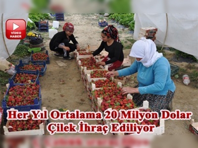 Dünyaya çilek Aydından gidiyor