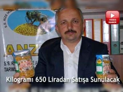 Anzer balı için sıraya girdiler 