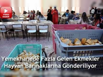 Yüzüncü Yıl Üniversitesinden Ekmek İsrafı Kampanyasına destek 