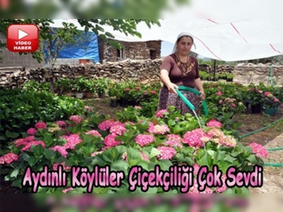 Hobiydi, gelir kaynağı oldu